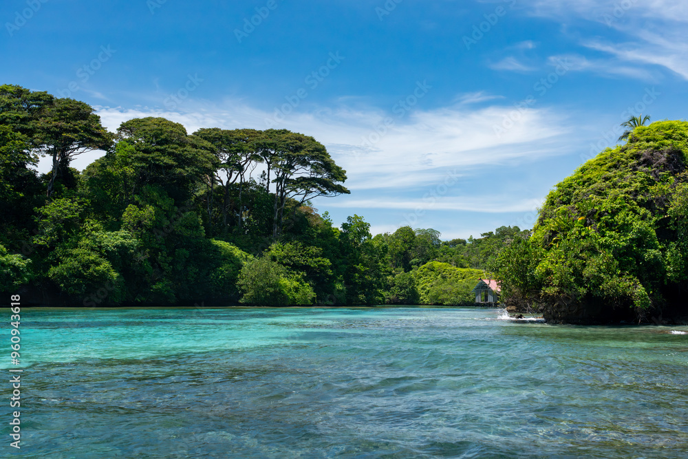 Obraz premium Tropical Island Paradise with Crystal Clear Water, Lush Greenery, and Serene Beaches - Stunning Caribbean Landscape for Eco-Tourism, Adventure, and Unspoiled Nature Travel Destinations