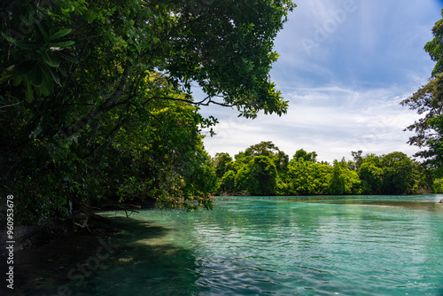 Tropical Island Paradise with Crystal Clear Water, Lush Greenery, and Serene Beaches - Stunning Caribbean Landscape for Eco-Tourism, Adventure, and Unspoiled Nature Travel Destinations