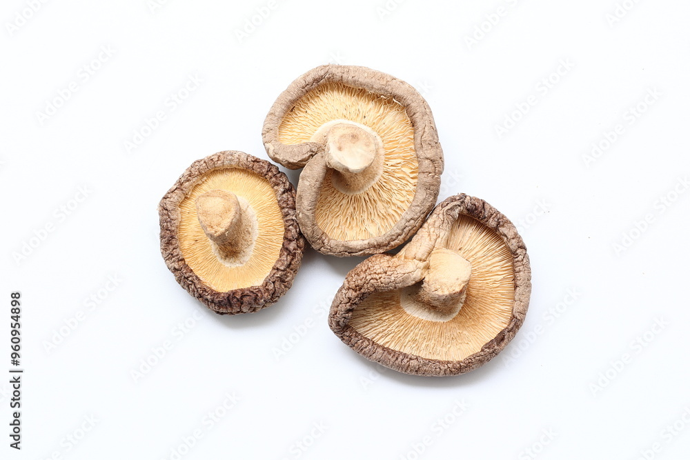 Mushroom on white background Mushroom on white background