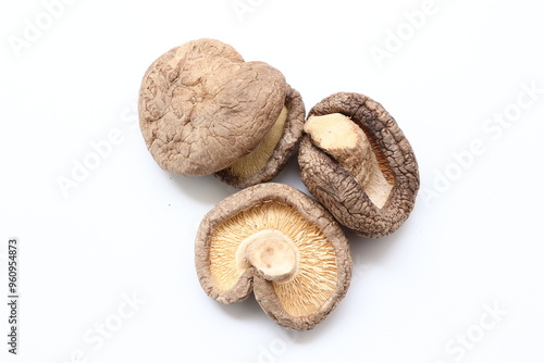 mushrooms on a white background photo