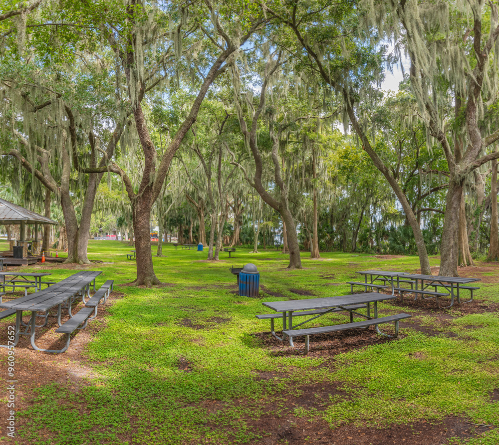 Parks and recreation a Florida landscape. Parks and recreation a Florida landscape.