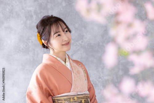 訪問着の着物を着た女性