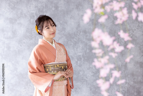 訪問着の着物を着た女性