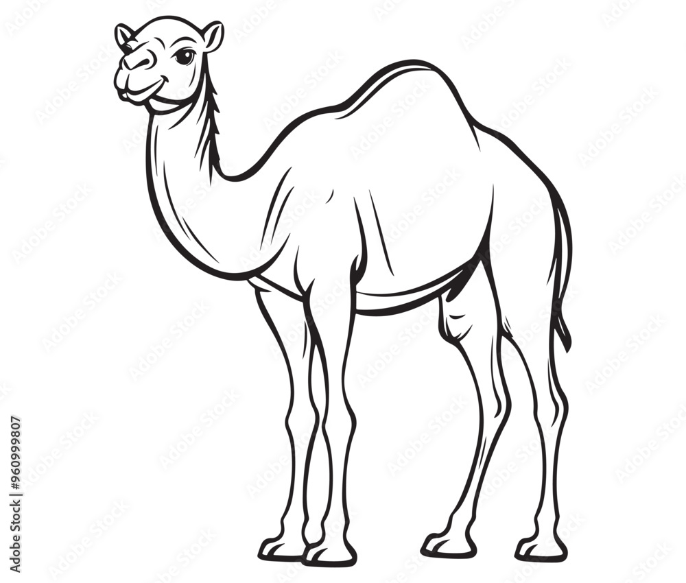 Camel cartoon illustration coloring page of a cute camel Camel cartoon illustration coloring page of a cute camel