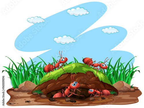 Ants collaborating outside their underground nest