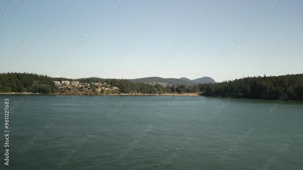 Aerial off of Anacortes Coastline of pine forest and homes in summer Aerial off of Anacortes Coastline of pine forest and homes in summer