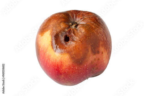 A rotten apple with a worm hole. An apple is isolated on a white background.