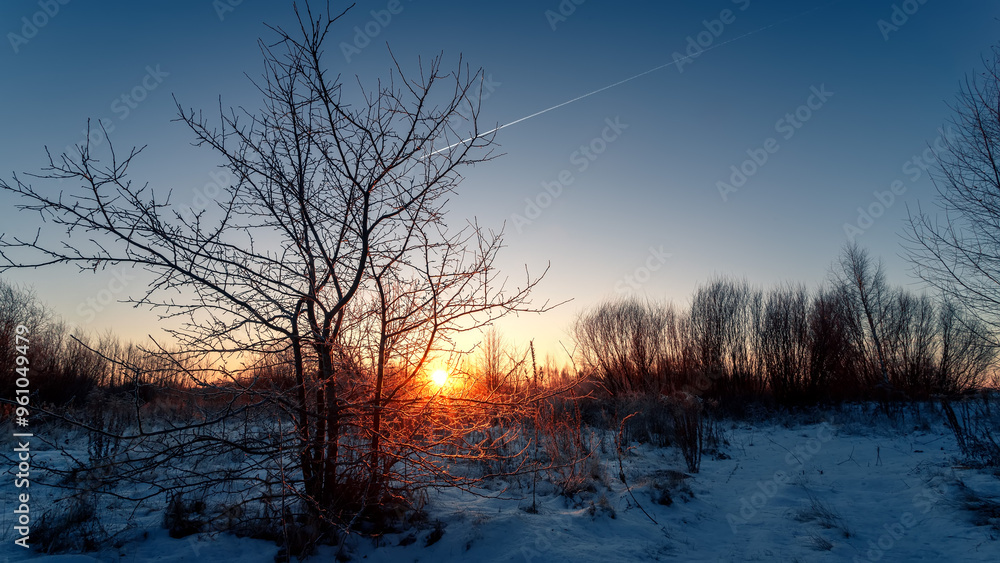 Winter sunrise or sunset, Sun is shining through the frozen branches. Winter sunrise or sunset, Sun is shining through the frozen branches.