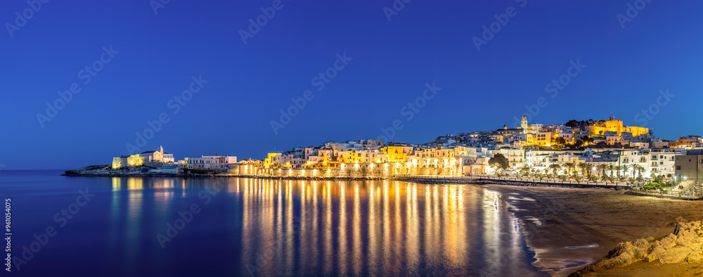 Fototapeta premium Panorama of the beautiful city of Vieste on the Gargano in Puglia, Italy, at night