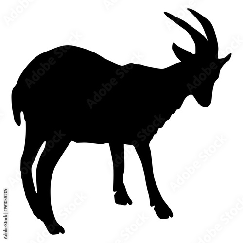 Sheep Silhouette illustration