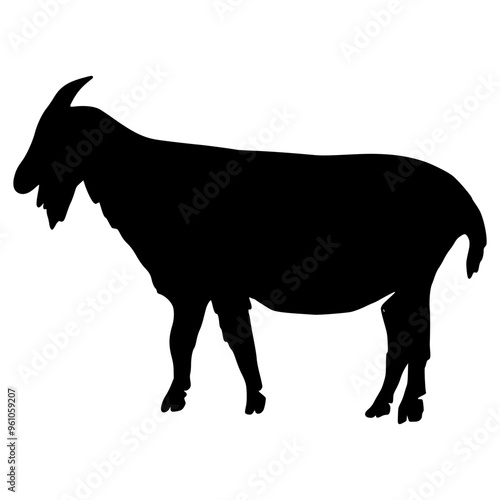 Sheep Silhouette illustration