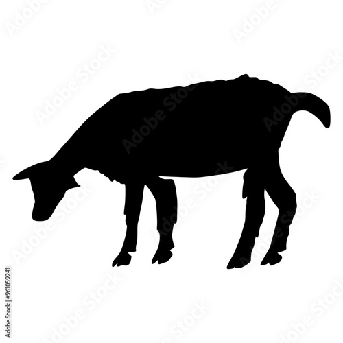 Sheep Silhouette illustration