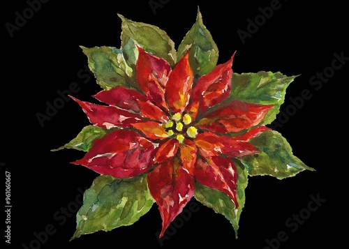 クリスマスの定番ポインセチア