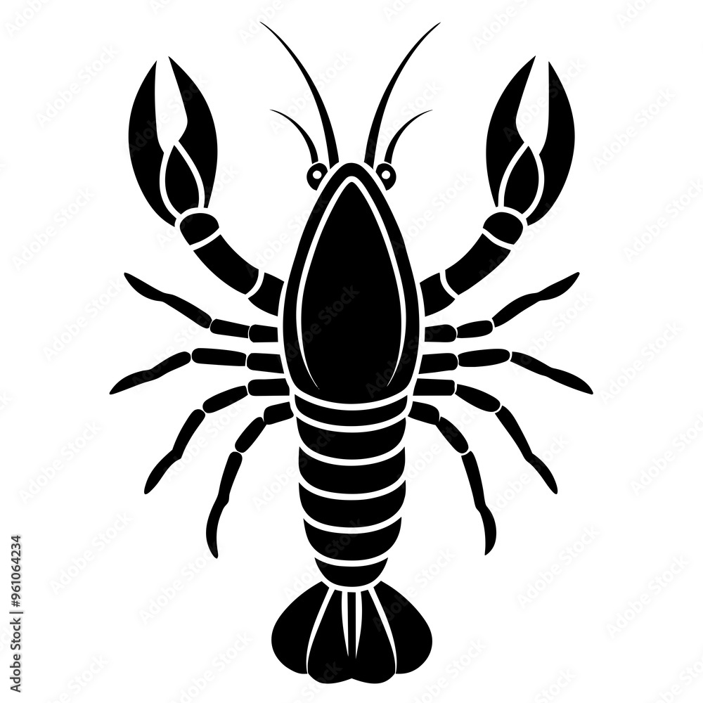Astacus astacus Astacus astacus