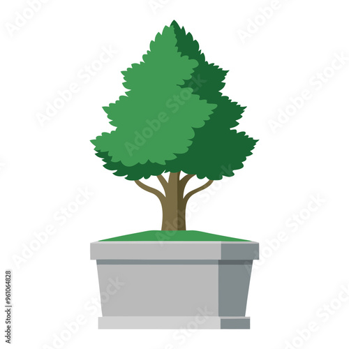 Illustration of Cupressus in concrete pot isolated