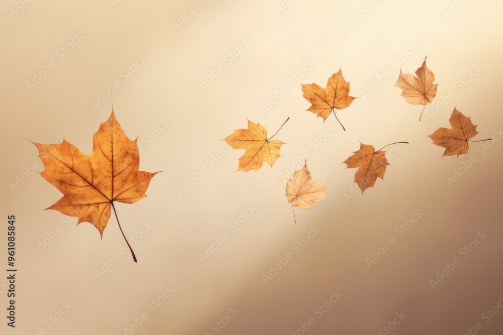 Fototapeta premium close-up photo of amazing dropping gold maple leaves in beige background