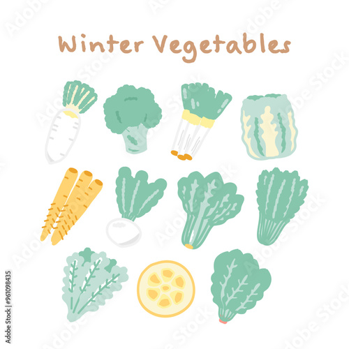 冬野菜　食材　イラストセット