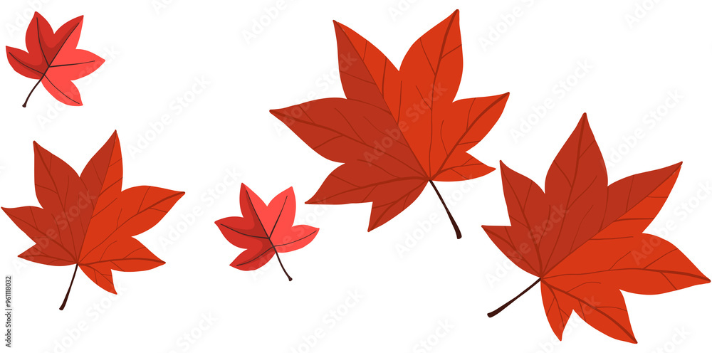 Fototapeta premium 단풍잎3