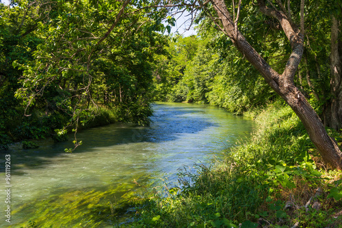 日本の風景・初夏　長野県安曇野市　大王わさび農場