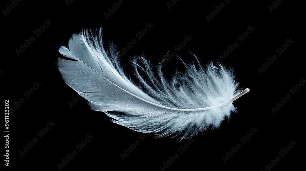 Obraz premium Single white feather floating on a black background.