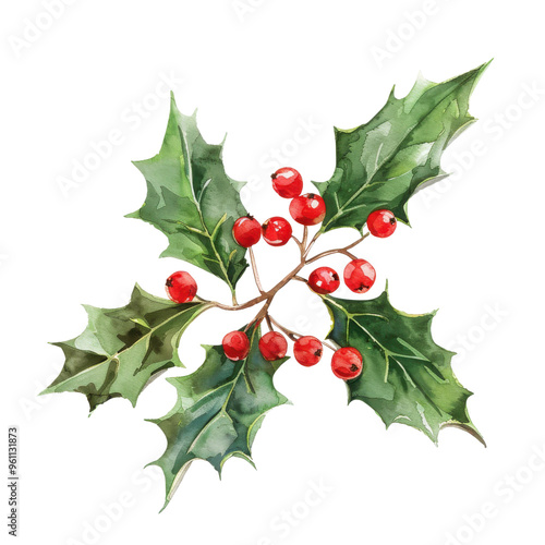 A vibrant holly branch featuring rich green leaves and bright red berries, perfect for holiday-themed designs and decorations.