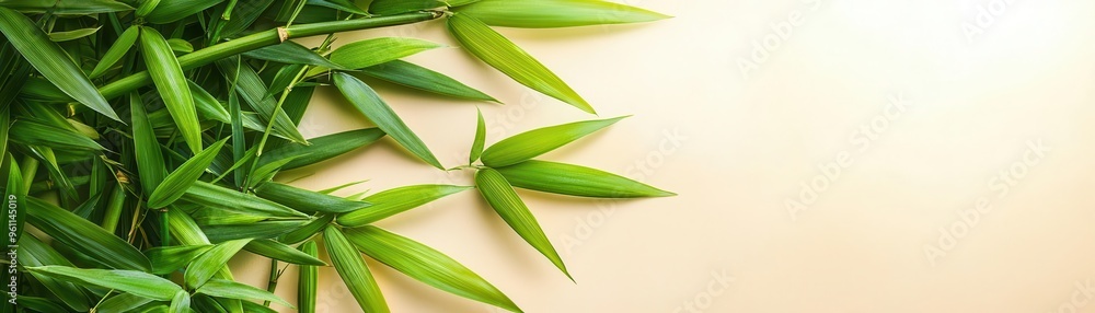 Obraz premium Bamboo grove, warm hues, flat design, symmetrical arrangement