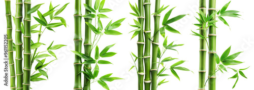 Panel kuchenny z motywem Set of green bamboo stems with leaves, cut out