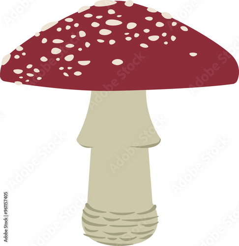 Amanita muscaria, fly agaric