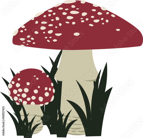 Amanita muscaria, fly agaric
