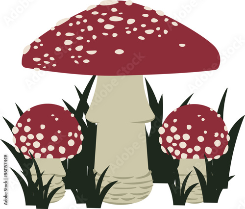 Amanita muscaria, fly agaric