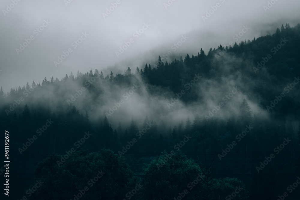 Mysterious mist envelops dark forest in the early morning hours, creating an eerie atmosphere in nature Mysterious mist envelops dark forest in the early morning hours, creating an eerie atmosphere in nature