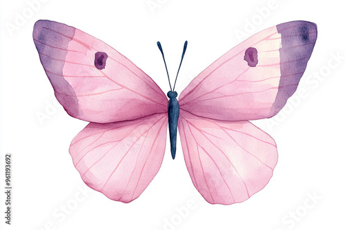 A delicate pink butterfly with watercolor wings, symbolizing beauty and transformation.