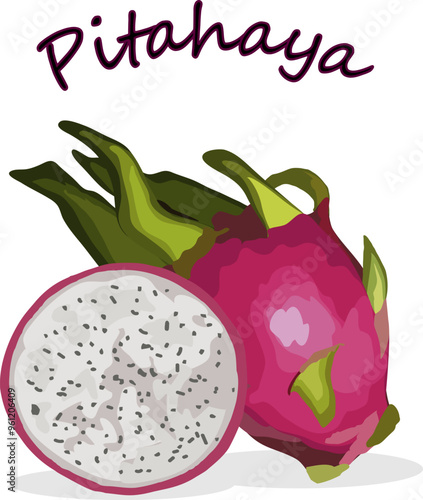 Pitahaya in vector illustration.Colored vector illustration with pitahaya and text on a transparent background.