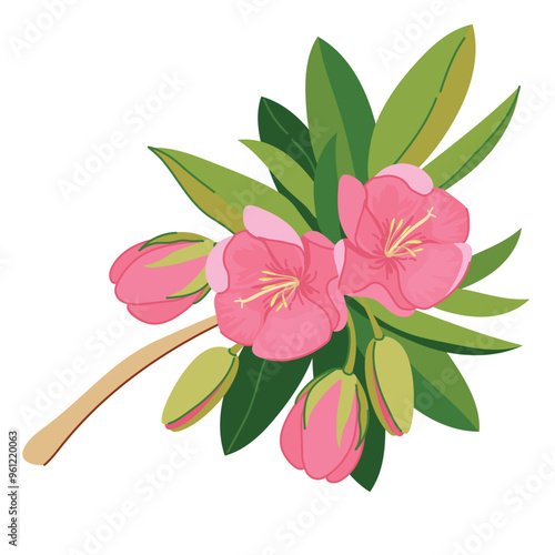 Typical plant of Mauritiustrochetia boutoniana on white background. Vector branch with pink exotic flowers in flat style. National symbol of the island near Africa. photo