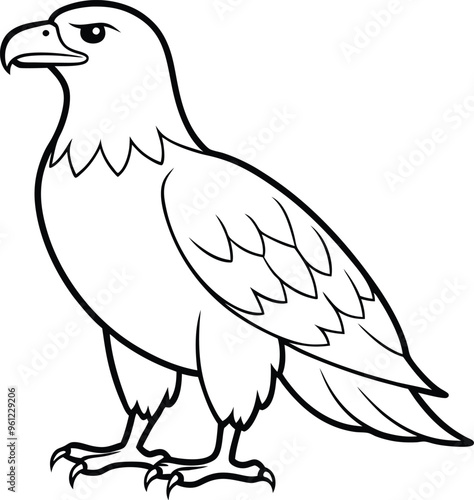 Eagle line art vector illustration powerful predator