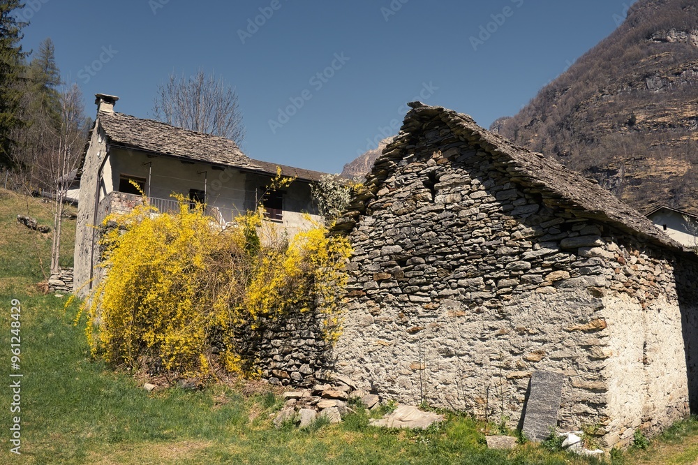 View of a small alpine village in Switzerland View of a small alpine village in Switzerland