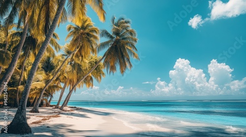 Fototapeta Naklejka Na Ścianę i Meble -  A beautiful beach with palm trees and a clear blue ocean