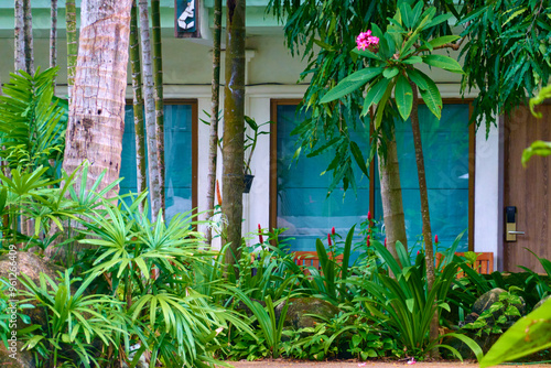 old house in the garden