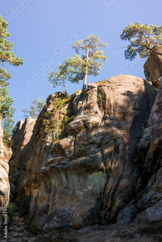 Majestic rock formation with a pine tree on top.
