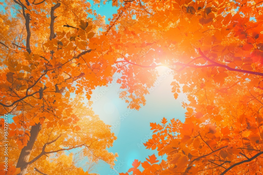 Autumns embrace in a vibrant forest filled with fiery red and orange foliage beneath a sunny blue sky Autumns embrace in a vibrant forest filled with fiery red and orange foliage beneath a sunny blue sky