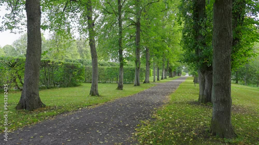 Green trees in park. Empty alley wind blowing through leaves. Gravel path into distance. Clean nature Green trees in park. Empty alley wind blowing through leaves. Gravel path into distance. Clean nature