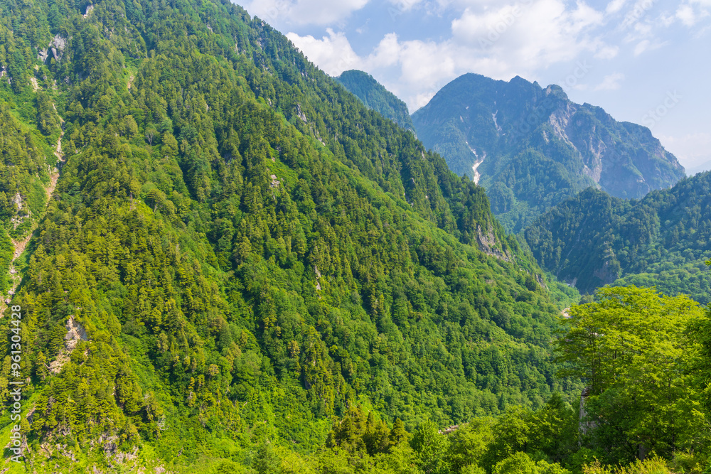 Fototapeta premium 日本の風景・初夏 立山黒部アルペンルート 黒部ダム(黒部湖)
