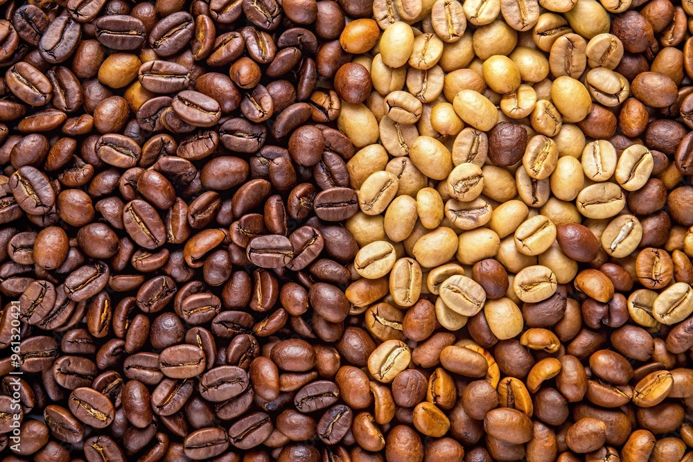 Fototapeta premium Bird Eye View of roasted and raw unroasted coffee beans