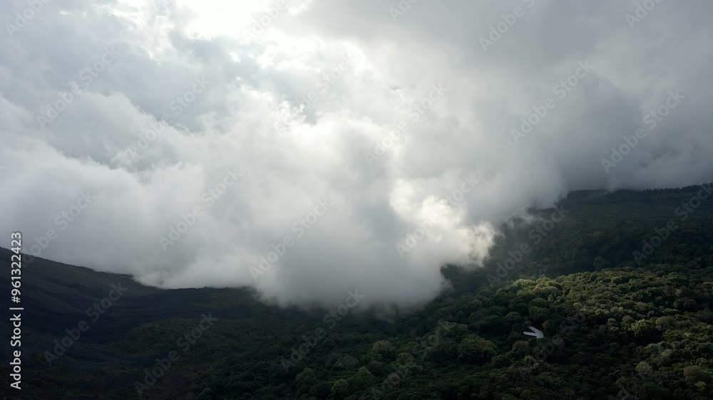 Tropical rainforest dense forest canopy, aerial over fog covered valley