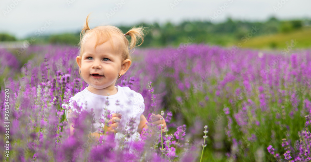 little beautiful girl in a white dress in a lavender field or garden, enjoying the aroma of lavender little beautiful girl in a white dress in a lavender field or garden, enjoying the aroma of lavender