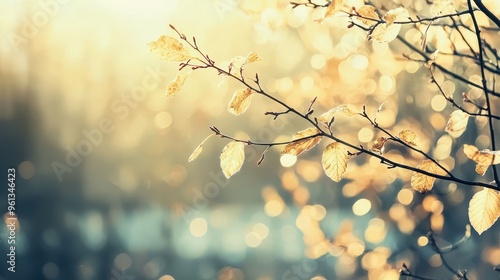 Autumn Leaves on Branch with Bokeh Background