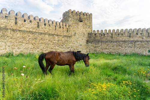 A brown horse grazes in the courtyard of the Chailuri fortress. High stone walls with loopholes, a defensive tower, green grass, yellow flowers. photo