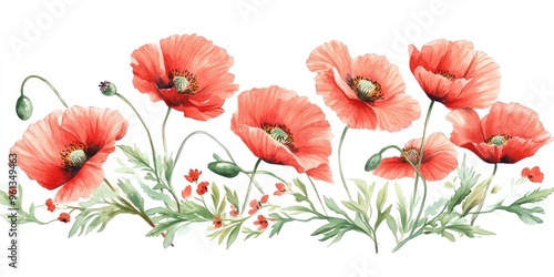 Wallpaper Mural Vibrant Watercolor Poppies: A Floral Delight for Nature Lovers Torontodigital.ca