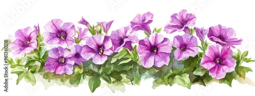 Vibrant Watercolor of Purple Petunias: A Stunning Floral Arrangement for Home and Garden Decor