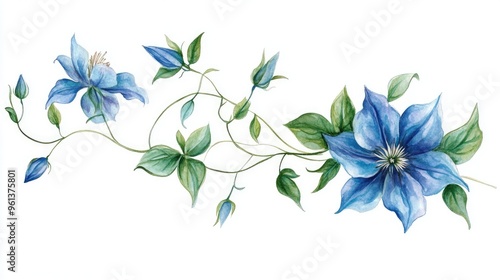 Elegant Blue Flowers in Watercolor: A Stunning Botanical Illustration of Nature's Beauty